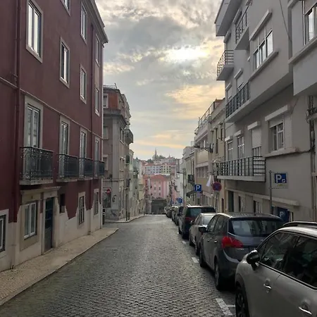 Luxury At Principe Real - Gardens_hosting Lisbon